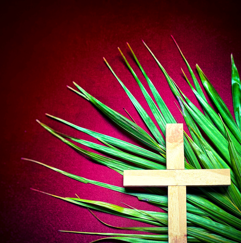 what-does-hosanna-mean-and-why-do-we-say-it-on-palm-sunday-diocese